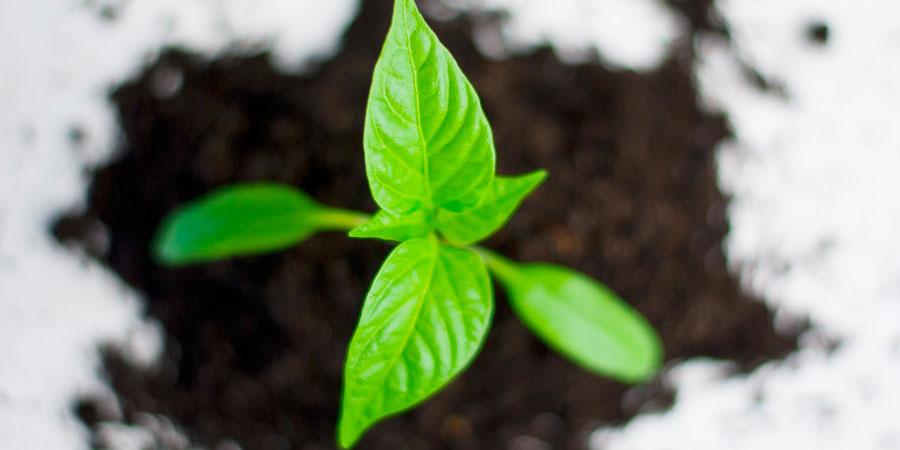 Esclusiva Vitality’s: esperienza ed ecosostenibilità